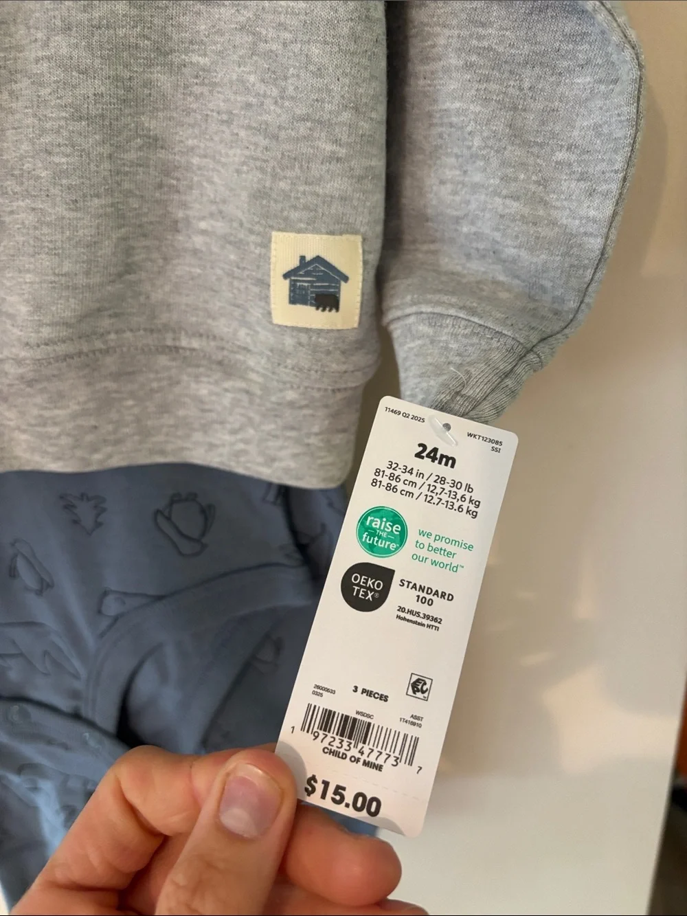 Carter's Light Gray Hoodie with Blue Onesies
and Long Pants - Picture 3 of 3
